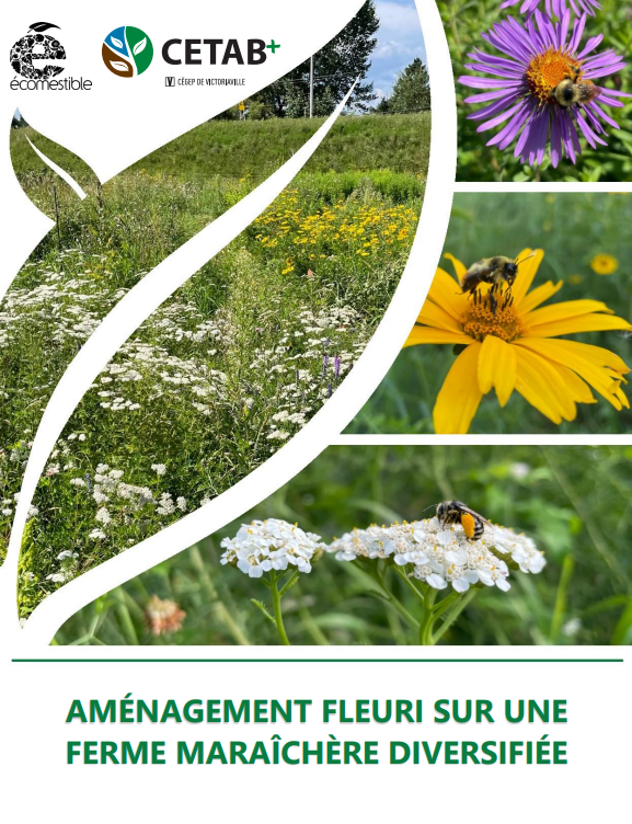 Aménagement fleuri Maraicher