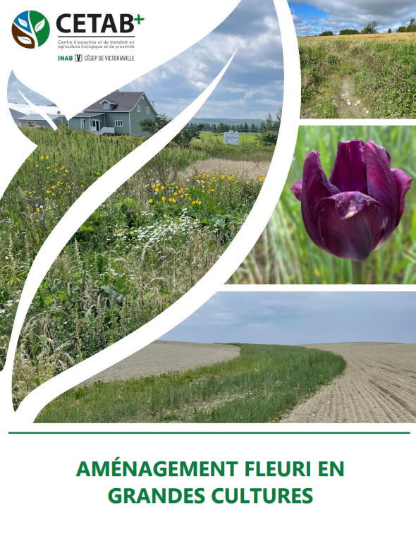 Aménagement fleuri Grande Cultures