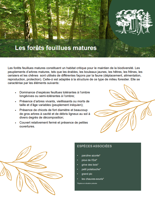 Fiche forêt feuillues matures - CNC et FPFQ