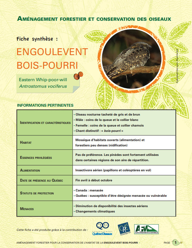 Fiche aménagement engoulevent bois-pourri - Québec Oiseaux