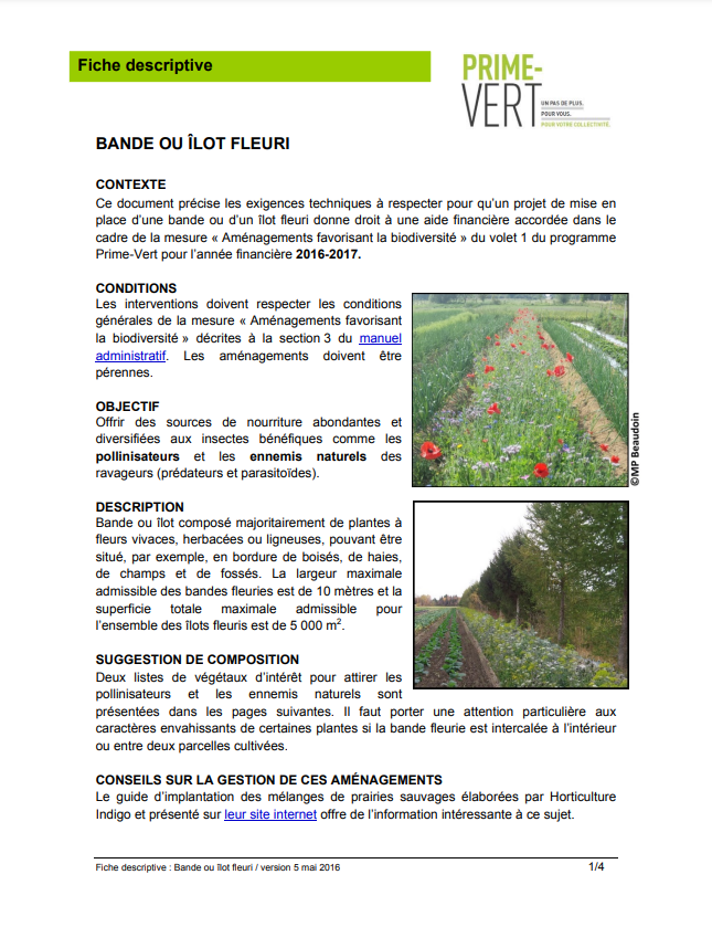 Guide bandes fleuries prime-vert