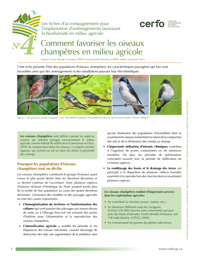 Fiche oiseaux CERFO