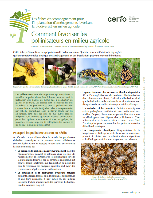 Fiche pollinisateurs CERFO