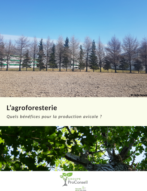 Fiche Agroforestrie Avicole, ProConseil