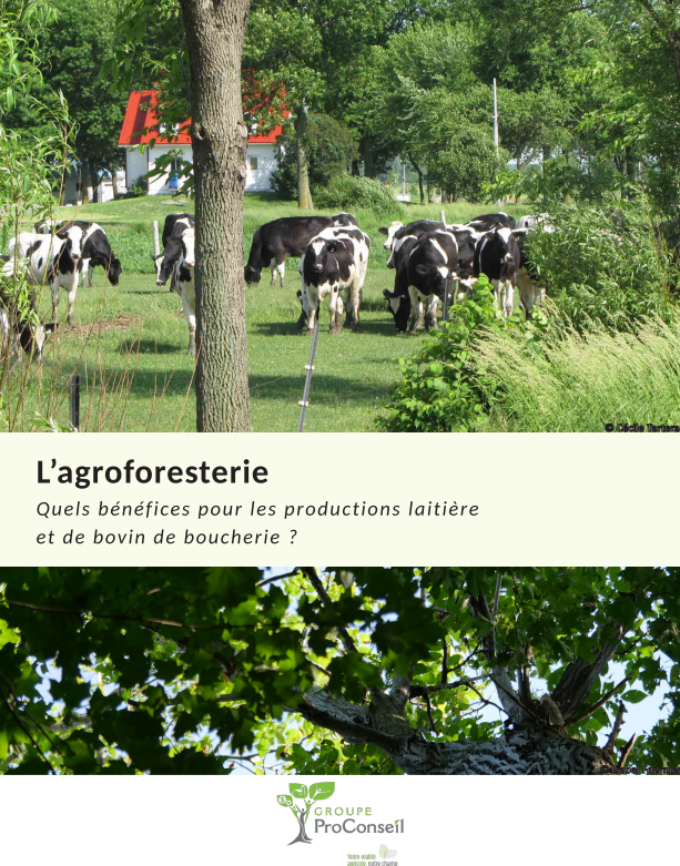 Fiche Agroforestrie Laitier Bovin, ProConseil