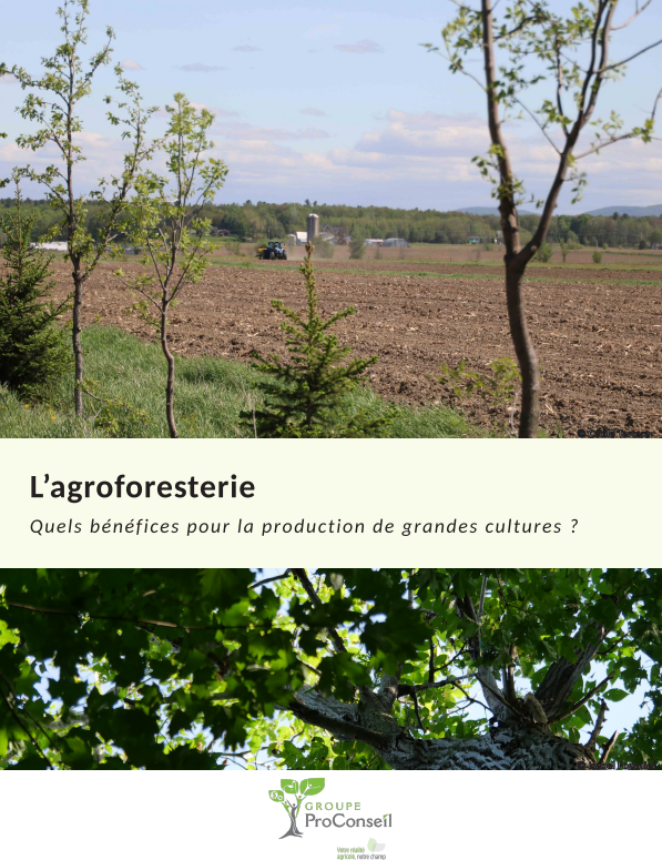 Fiche Agroforestrie Grandes cultures ProConseil