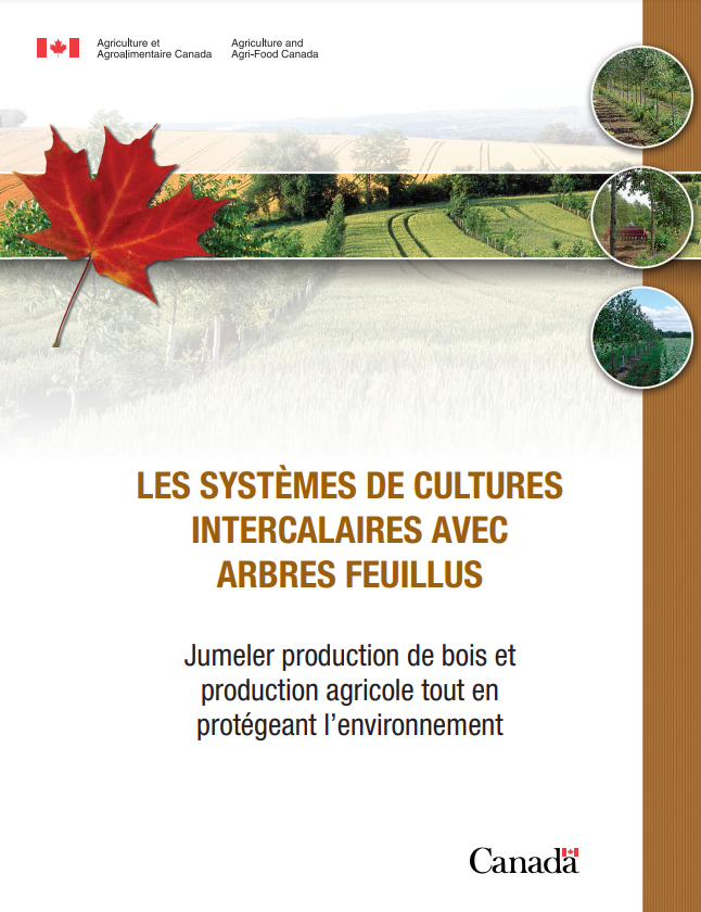 Fiche systèmes cultures intercalaires - AAC