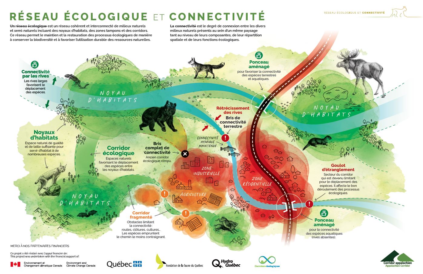 Fiche Réseau écologique et connectivité