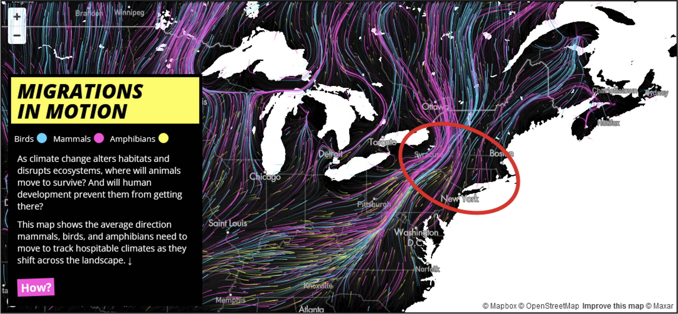 Carte tirée de Migration In Motion