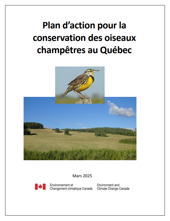 Plan Action Oiseaux Champêtres