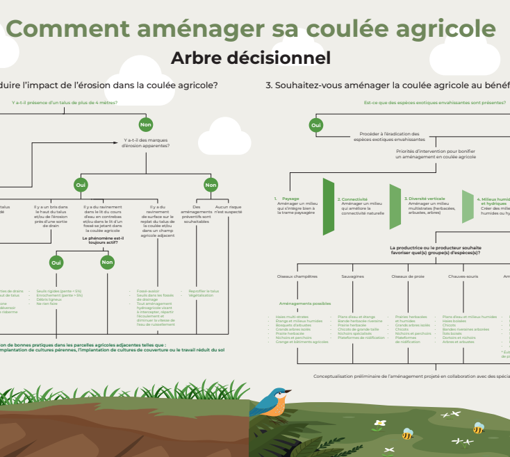 Arbre decisionnel coulée agricole UPA