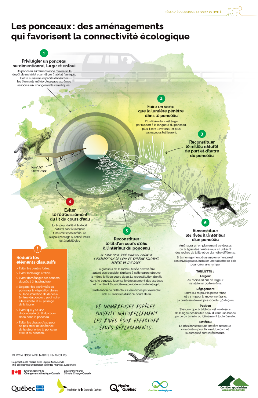 Fiches Les ponceaux: des aménagements qui favorisent la connectivité écologique