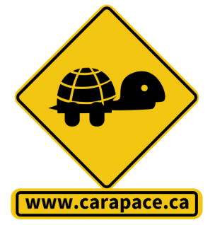 Carapage_logo