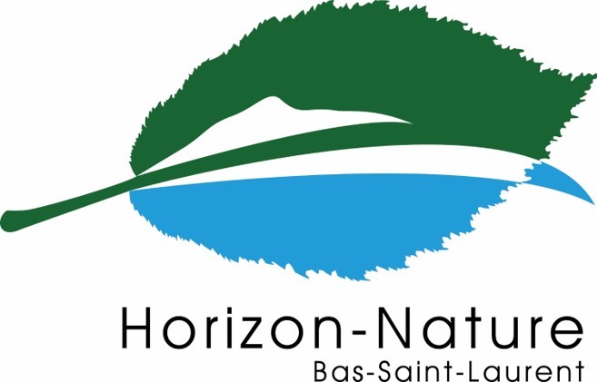 logo HNBSL